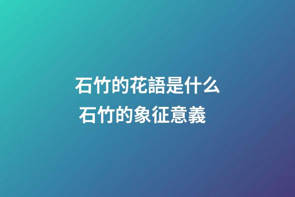 石竹的花語是什么 石竹的象征意義